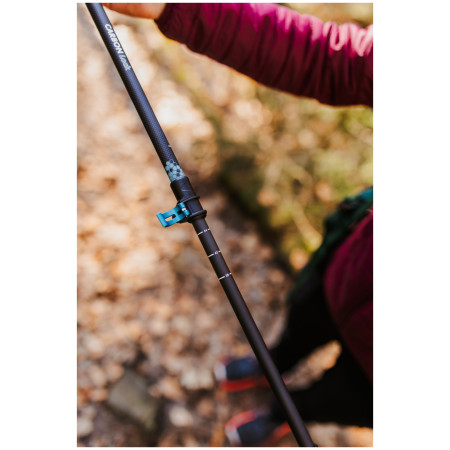 Trekkingstöcke Warg Carbon Lock