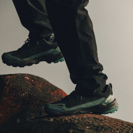 Wanderschuhe Adidas Terrex Skychaser Ax5 GTX