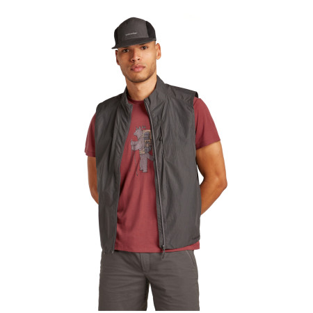 Herren-Funktionsshirt Icebreaker M Mer Core SS Tee Tech Head