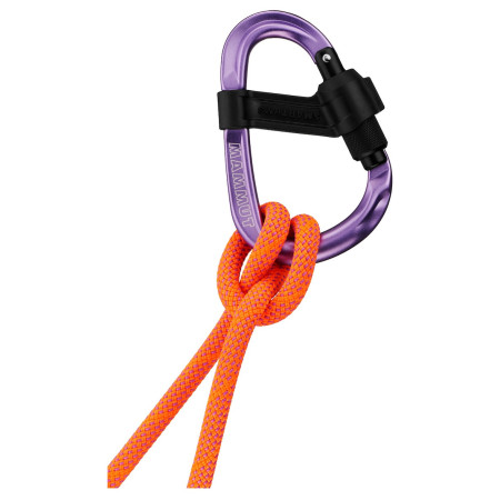 Karabiner Mammut Smart HMS 2.0 Screwgate Carabiner