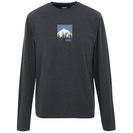 Herren-T-Shirt Regatta Maylow schwarz black