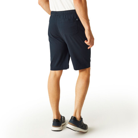 Herrenshorts Regatta Aldan Short