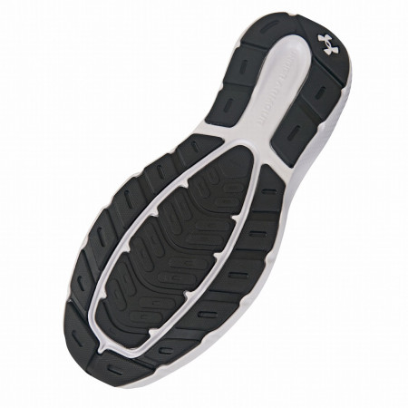 Herren Laufschuhe Under Armour Charged Rogue 5