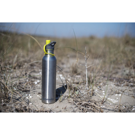 Flasche Pinguin Edelstahl Trinkflasche Bottle S 0.8L