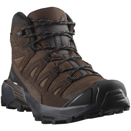 Herrenschuhe Salomon X Ultra 360 Leather Mid Gore-Tex