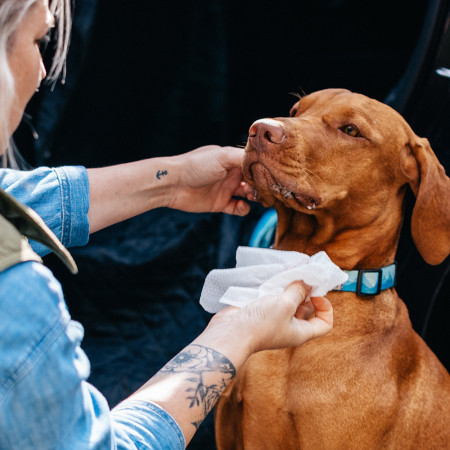 Feuchttücher für Hunde Explorer Dog Natürliche Feuchttücher für Hunde 40 Stück