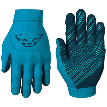 Handschuhe Dynafit Upcycled Thermal Gloves blau Frost//