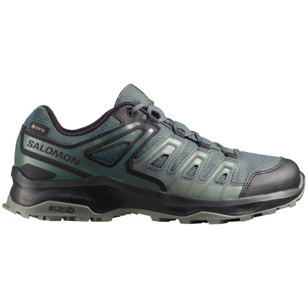 Herren Trekkingschuhe Salomon Extegra Gore-Tex
