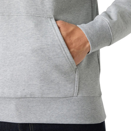 Herren-Sweatshirt Helly Hansen Core Graphic Hoodie