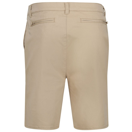 Herrenshorts Regatta Sabden Short
