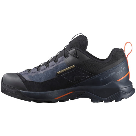Herrenschuhe Salomon X Ultra Alpine Gore-Tex