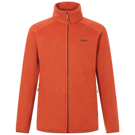 Herren Funktions-Sweatshirt Regatta Rike orange RobosTea/Blk