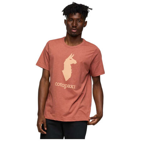 Herren-T-Shirt Cotopaxi Cotopaxi Llama T-Shirt