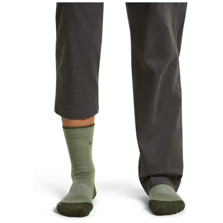 Damensocken Icebreaker W Mer Hike+ Light Crew