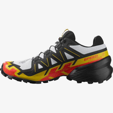 Herrenschuhe Salomon Speedcross 6