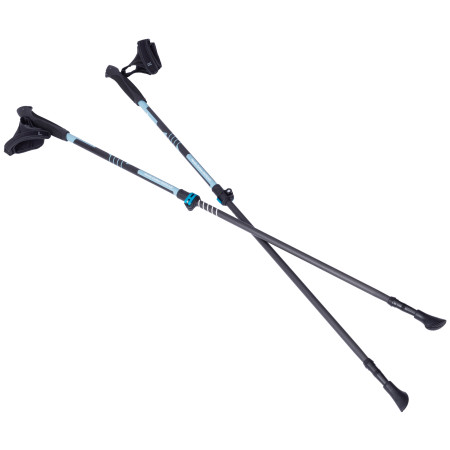 Nordic Walking Stöcke Warg Nordic Carbon Fastlock schwarz/blau black/blue