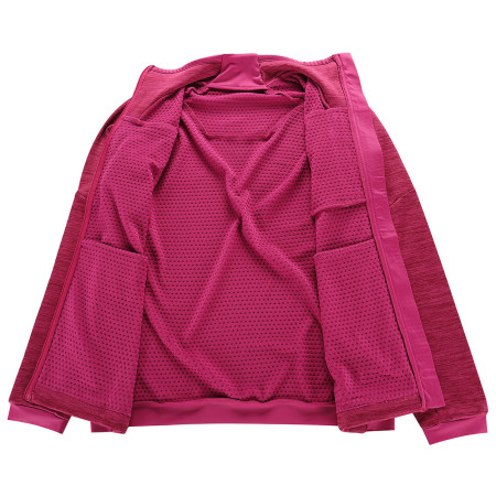 Damen-Sweatshirt Alpine Pro Onneca 3