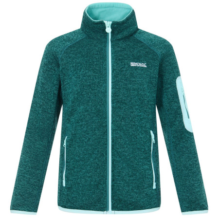 Kinder-Sweatshirt Regatta Junior Newhill DrkForGlacGr grün DrkForGlacGr