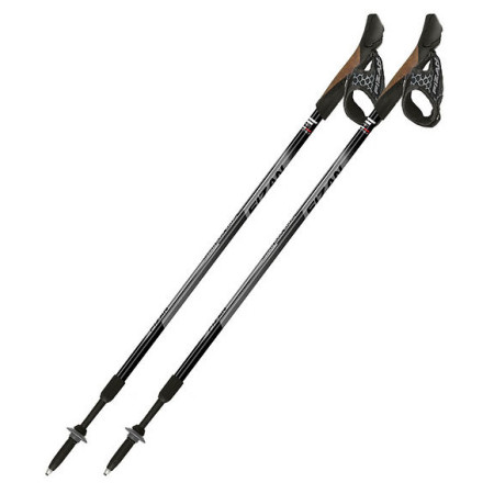 Stöcke Fizan NW Speed