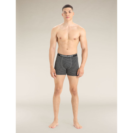 Herren-Boxershorts Icebreaker Mens Anatomica Boxers