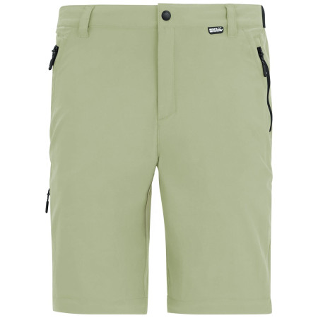 Herrenhose Regatta Anti-Insect Travel Light Cargo