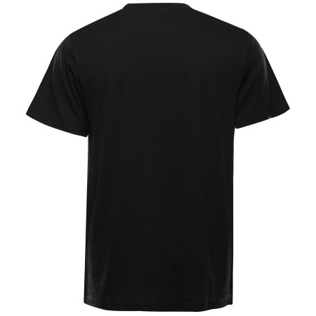 Herren-T-Shirt Alpine Pro Bolen 2