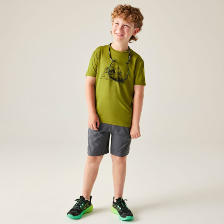 Kinder-T-Shirt Dare 2b Amuse III Tee Goldn Cypress