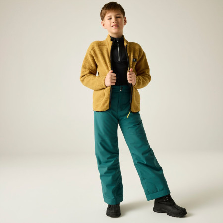 Kinder-Sweatshirt Dare 2b Zesty II Fleece Wood Brown