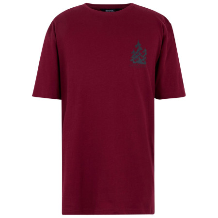 Herren T-Shirt Regatta Cline IX