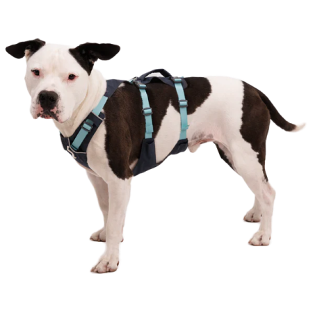 Hundegeschirr Ruffwear Flagline™ Harness