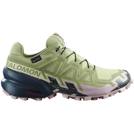 Damenschuhe Salomon Speedcross 6 Gore-Tex