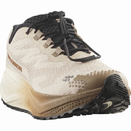 Damen Laufschuhe Salomon Aero Blaze 4 Grvl W