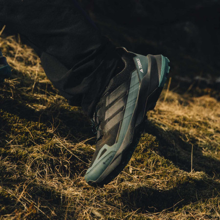 Wanderschuhe Adidas Terrex Skychaser Ax5 GTX