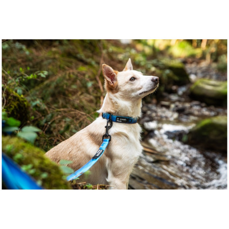Hundehalsband Mountain Paws Waterproof Dog Collar