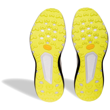 Herren Laufschuhe Dynafit Trail