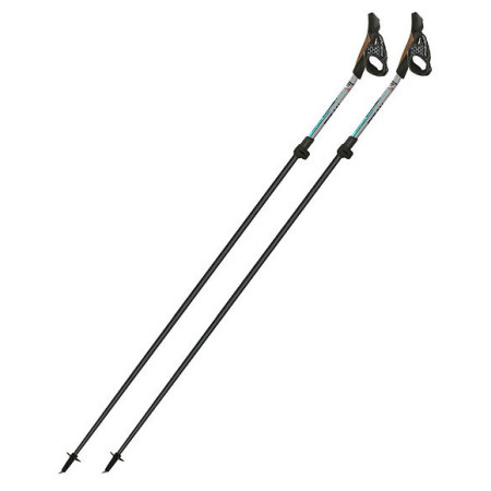 Nordic Walking Stöcke Fizan Tekno Race Impulse grau Grey