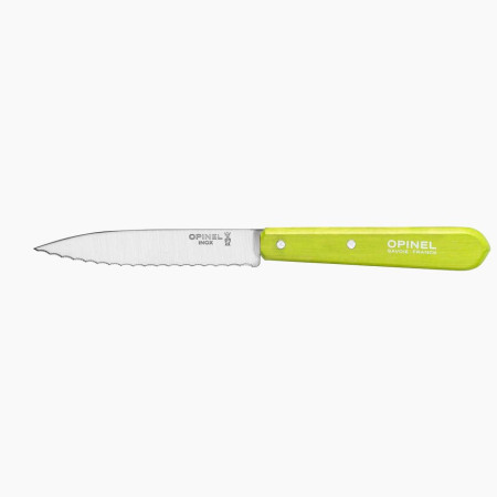 Messer Opinel N°113 Sweet pop grün