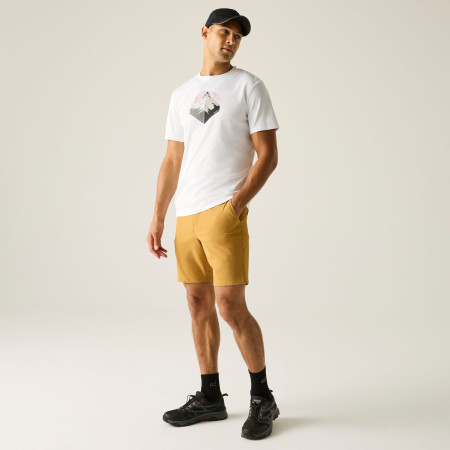 Herren-T-Shirt Regatta Fingal Graphic T-Shirt