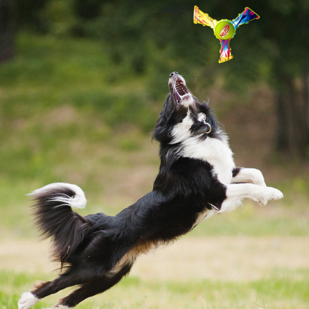 Hundespielzeug Nerf Dog Color Grip Tri Flyer 20 cm
