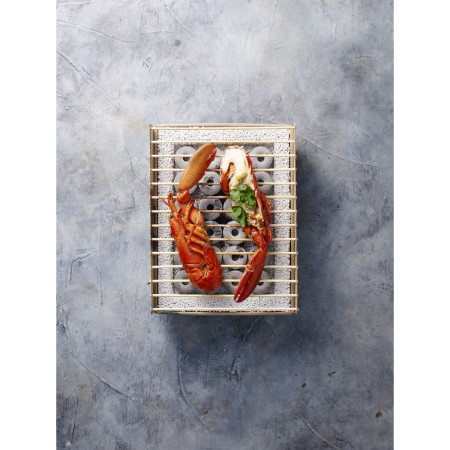 Einweg-Grillschale CasusGrill Ökologischer Grill