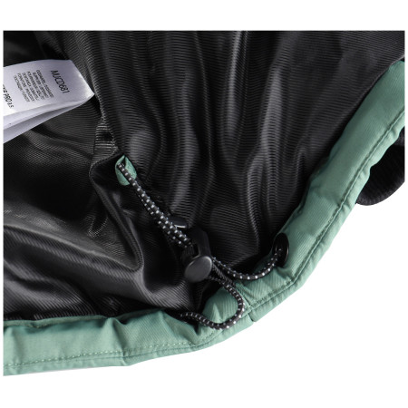 Herrenjacke Alpine Pro Werd