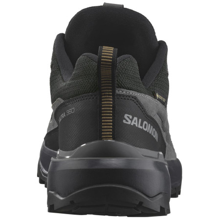 Herrenschuhe Salomon X Ultra 360 Leather Gore-Tex
