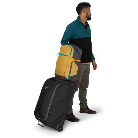 Handgepäck für das Flugzeug Osprey Daylite Travel Pack 35