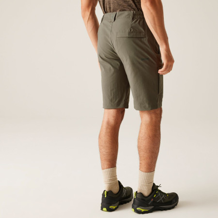 Herrenshorts Regatta Highton Shorts Long II