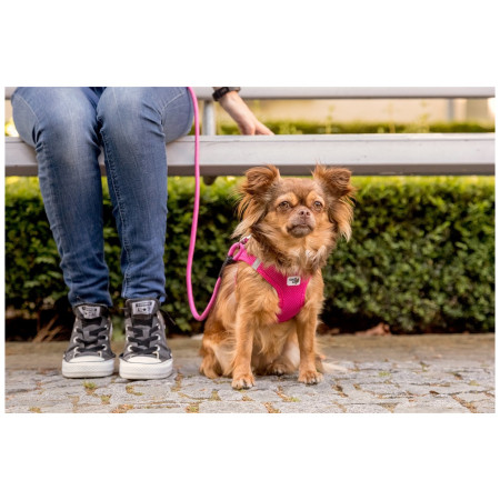 Hundeleine Curli Stretch Comfort Leash