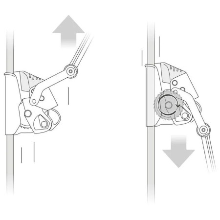 Auffanggerät Petzl Asap Lock