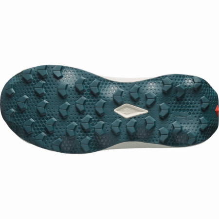 Damenschuhe Salomon Ultra Flow 2 W