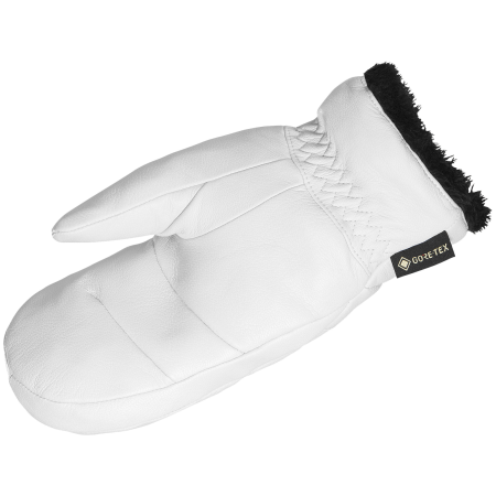 Fäustlinge Salomon Native Gore-Tex Mitten