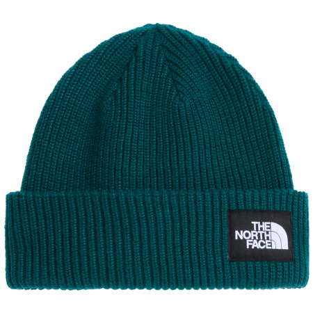 Mütze The North Face Salty Lined Beanie
