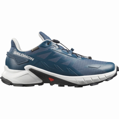 Herren Laufschuhe Salomon Supercross 4 Gore-Tex